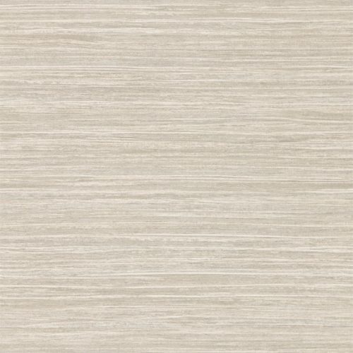 Oralia 111438